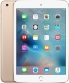 iPad mini 3